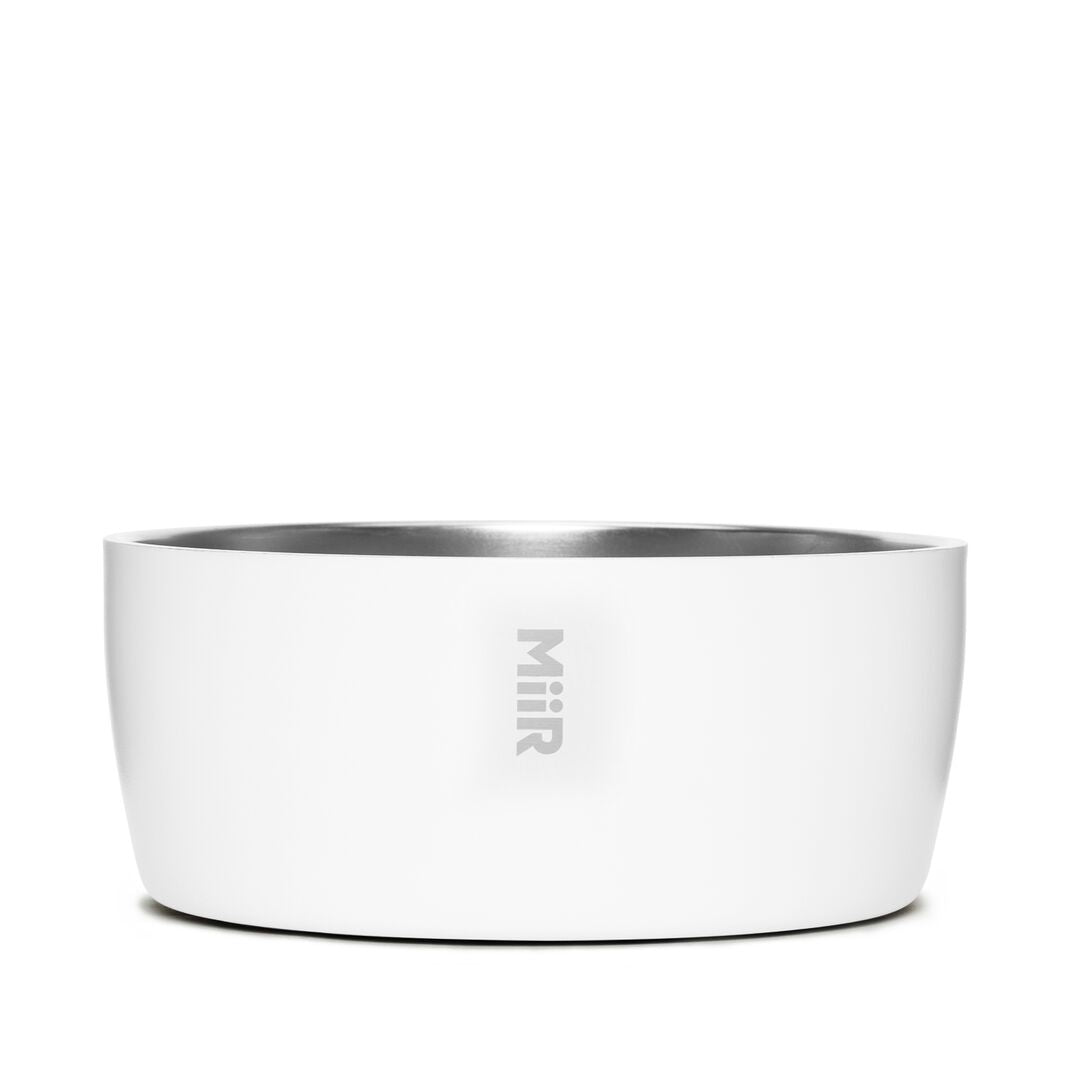Dog Bowl